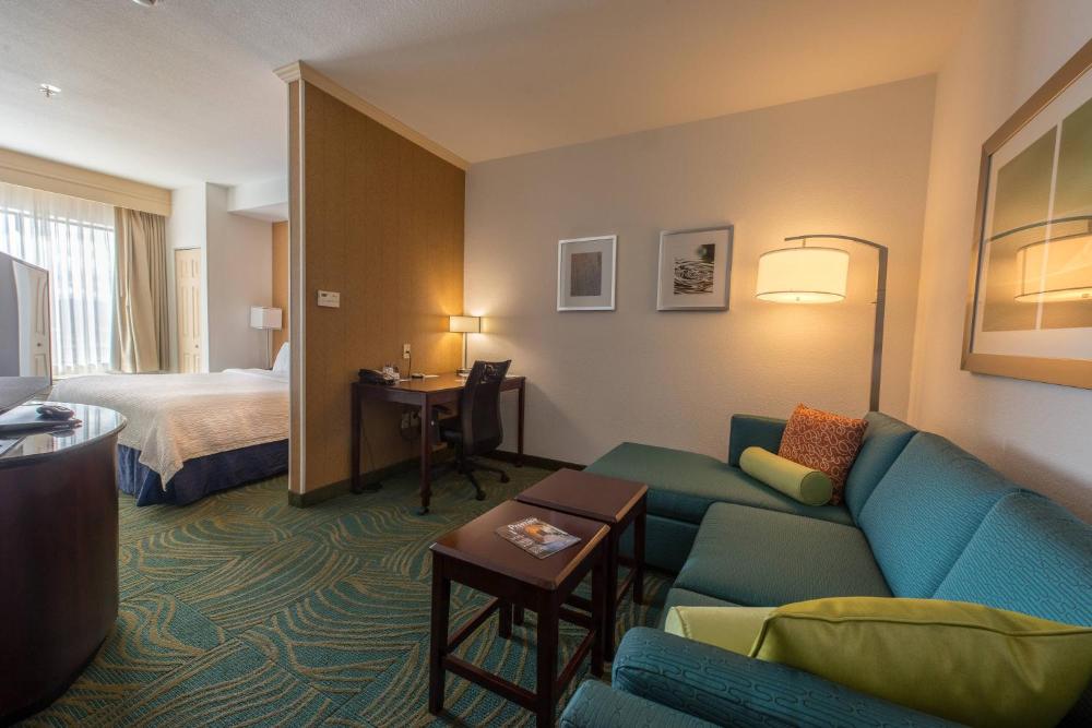 King Suite with Sofa Bed interior
